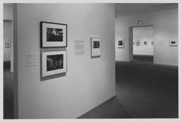 Installation photo, 16 of 19
