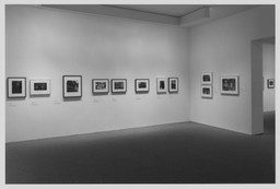 Installation photo, 17 of 19
