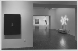 Selections from the Collection (1997). May 30–Aug 19, 1997. 