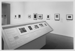 Installation photo, 4 of 6