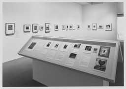 Installation photo, 5 of 6