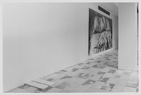 On the Edge: Contemporary Art from the Werner and Elaine Dannheisser Collection. Sep 30, 1997–Jan 20, 1998.
