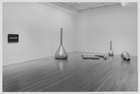On the Edge: Contemporary Art from the Werner and Elaine Dannheisser Collection. Sep 30, 1997–Jan 20, 1998. 1 other work identified