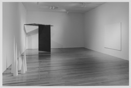 On the Edge: Contemporary Art from the Werner and Elaine Dannheisser Collection. Sep 30, 1997–Jan 20, 1998. 2 other works identified