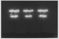 On the Edge: Contemporary Art from the Werner and Elaine Dannheisser Collection. Sep 30, 1997–Jan 20, 1998.