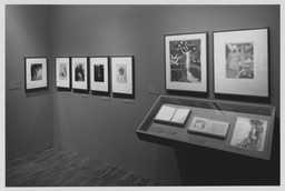 Installation photo, 6 of 18