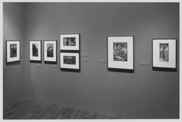 Installation photo, 7 of 18