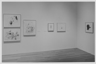 A Decade of Collecting: Recent Acquisitions in Contemporary Drawing. Sep 8, 1997–Jan 20, 1998.