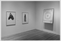A Decade of Collecting: Recent Acquisitions in Contemporary Drawing. Sep 8, 1997–Jan 20, 1998. 1 other work identified