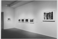 Reinstallation of the Museum Collection: Contemporary Photographs. Jan 22–Mar 10, 1998.