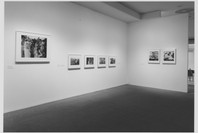 Reinstallation of the Museum Collection: Contemporary Photographs. Jan 22–Mar 10, 1998. 1 other work identified
