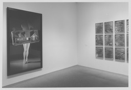 Reinstallation of the Museum Collection: Contemporary Photographs. Jan 22–Mar 10, 1998. 