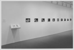 Installation photo, 41 of 47