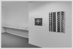 Installation photo, 46 of 47