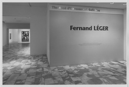 Installation photo, 3 of 47
