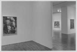Installation photo, 7 of 47