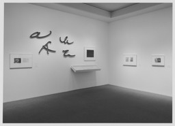 Installation photo, 7 of 10
