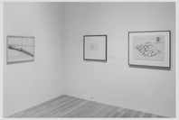 Elements of the Natural: 1950–1992. May 7–Sep 8, 1998.