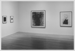 Elements of the Natural: 1950–1992. May 7–Sep 8, 1998. 1 other work identified