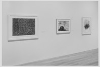Elements of the Natural: 1950–1992. May 7–Sep 8, 1998.