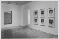 Elements of the Natural: 1950–1992. May 7–Sep 8, 1998.