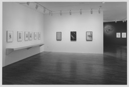 Installation photo, 6 of 41