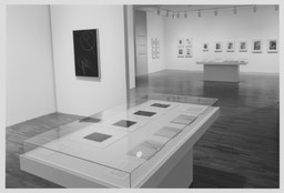 Installation photo, 10 of 41