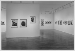 Installation photo, 31 of 41