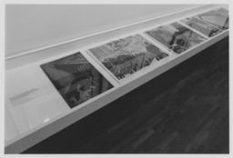 Installation photo, 39 of 41