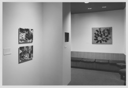 Installation photo, 1 of 5