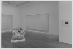 Installation photo, 3 of 19