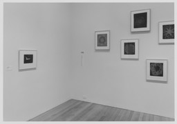Installation photo, 7 of 19