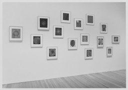 Installation photo, 8 of 19