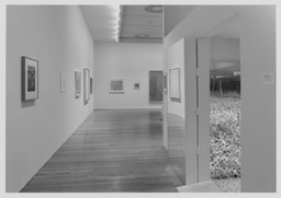 Installation photo, 10 of 19