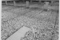 Love Forever: Yayoi Kusama 1958–1968. Jul 9–Oct 6, 1998.