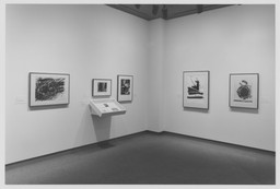 Installation photo, 7 of 14