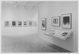Installation photo, 13 of 14