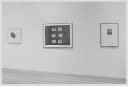 Installation photo, 13 of 15