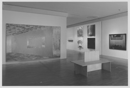 The Museum as Muse: Artists Reflect | MoMA