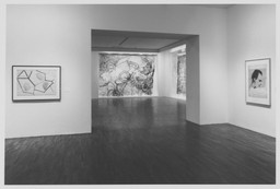 MoMA ジグマー・ポルケ図録 Works on Paper 1963-1974 Sigmar Polke: Works on Paper, 1963–1974 | MoMA