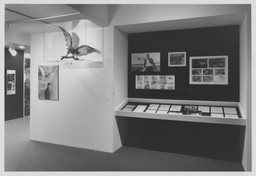 Installation photo, 8 of 18