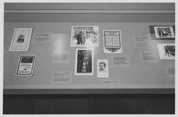 Installation photo, 5 of 19