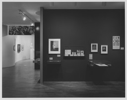 Installation photo, 6 of 23