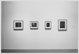 Installation photo, 2 of 3