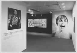 Installation photo, 5 of 18