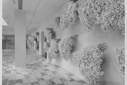 The Museum of Modern Art Archives, New York