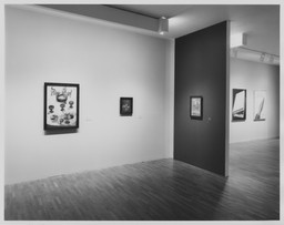 Installation photo, 14 of 45
