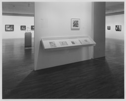 Installation photo, 36 of 45