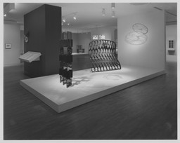 Installation photo, 39 of 45