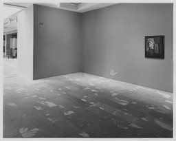 Installation photo, 8 of 12